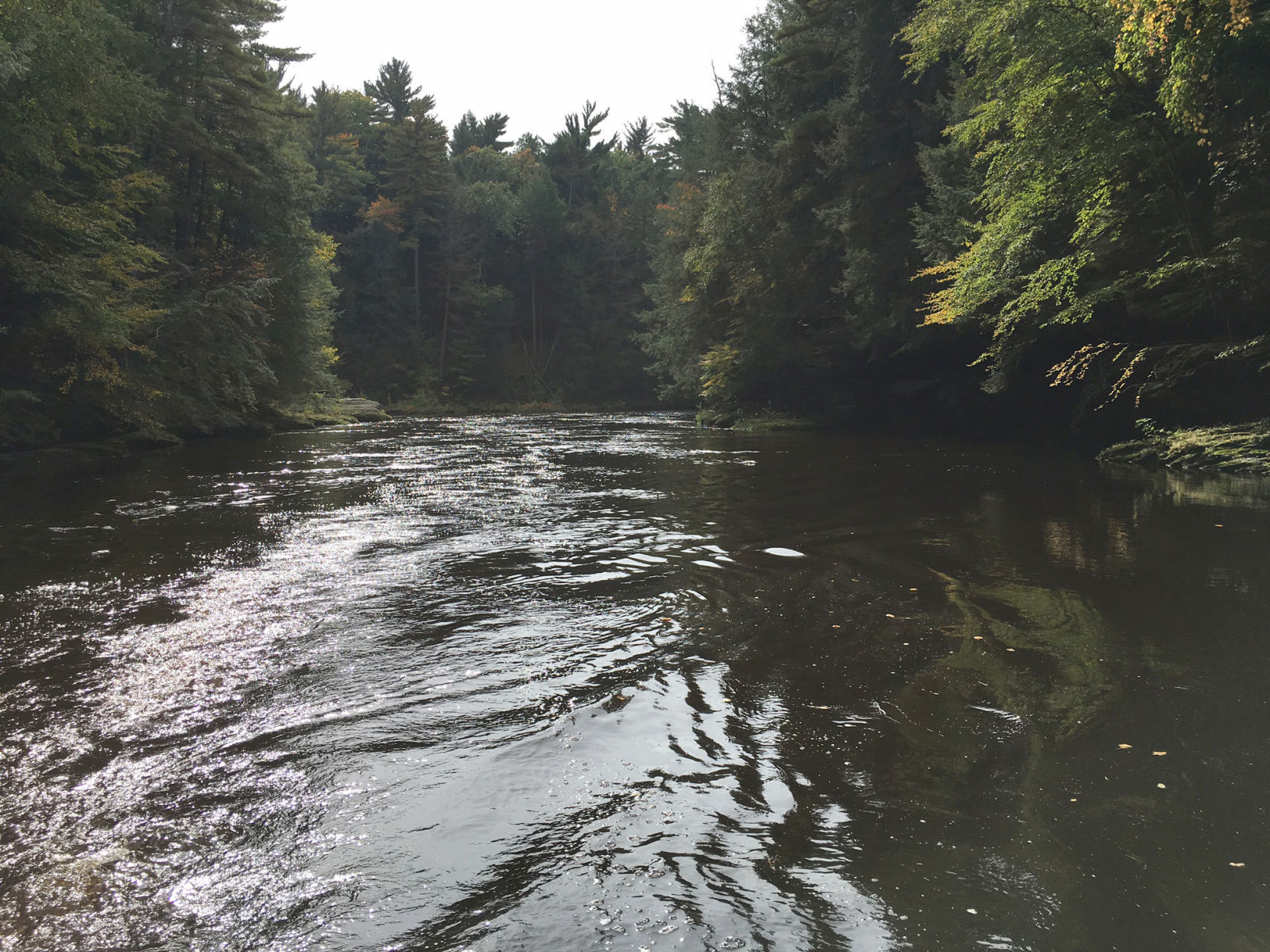 Wisconsin Dells drives tourism throughout the region